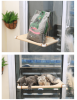 Cute Smart Small Pet Kitty Large Cat Dog Wall Ledge Patio Enclosures Outside Bed Hammock Seat Sil Mounted Cat Window Perch - Yellow