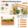 Raised Garden Bed with Trellis or Climbing Plant and Pot Hanging - Natural