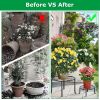 4Packs Iron Plotted Plant Stands Shelves Heavy Duty Round Flower Pot Holder Rack Home Yard Garden Patio Décor - Black