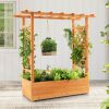 Raised Garden Bed with Trellis or Climbing Plant and Pot Hanging - Natural